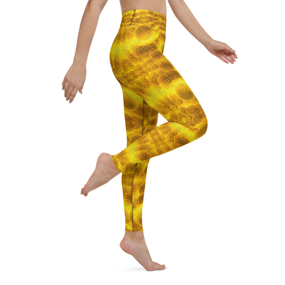 Petallika GoldenSuns Glam-Art Yoga Leggings