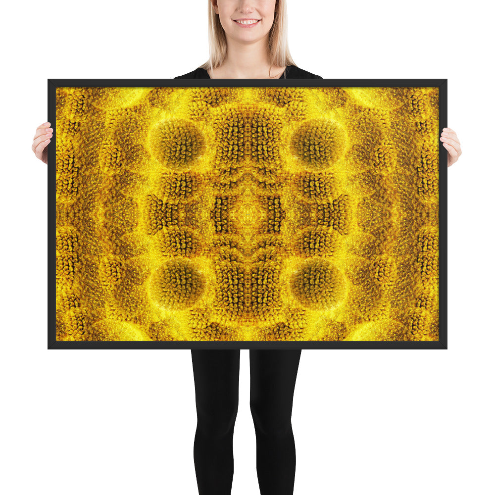 Petallika Golden Suns FineArt Framed Poster